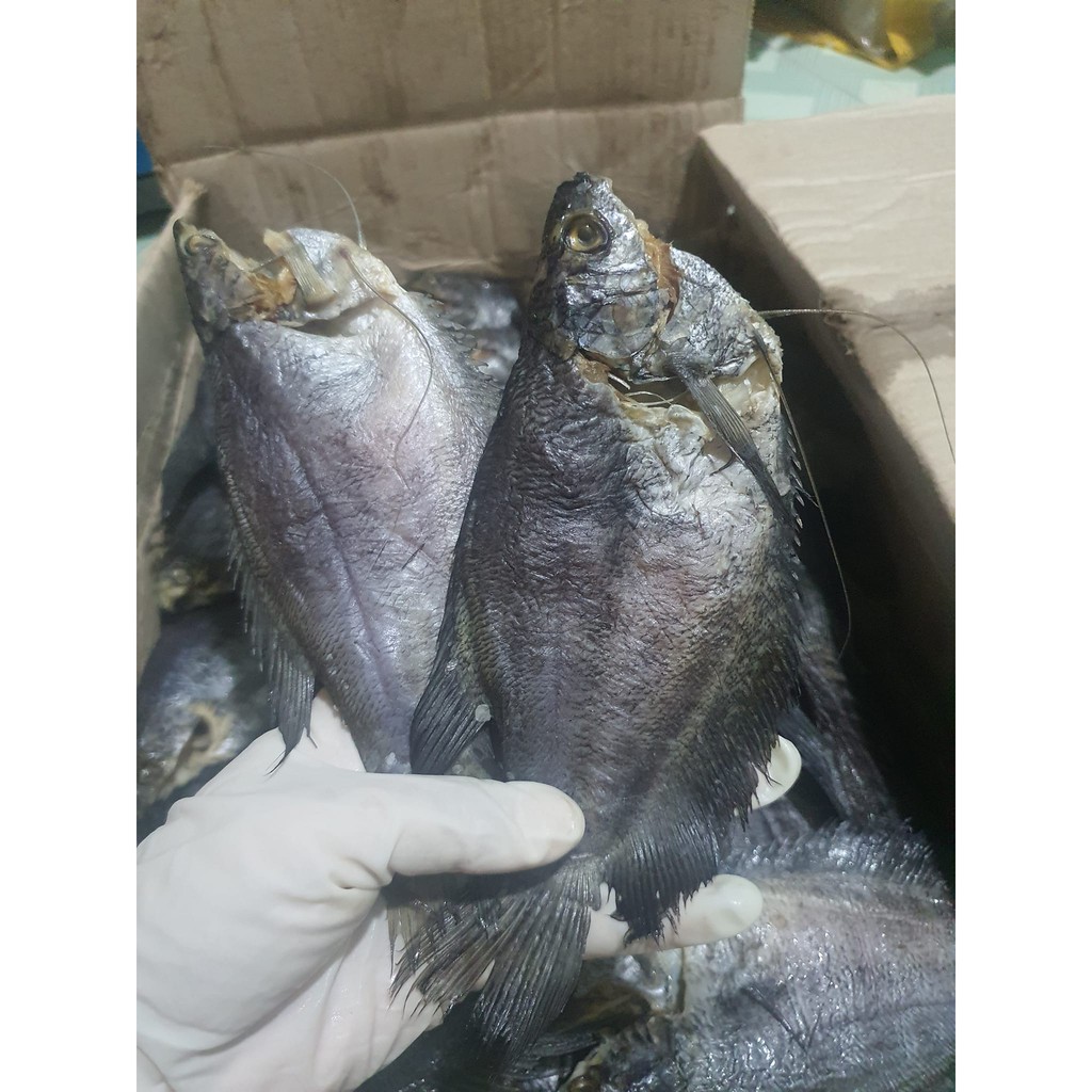 Khô Cá Sặc Bổi Vừa Ăn, Chắc Thịt, Béo MINH ĐẠT FOODS Đặc Sản Cà Mau - Phơi Trên 3 Nắng