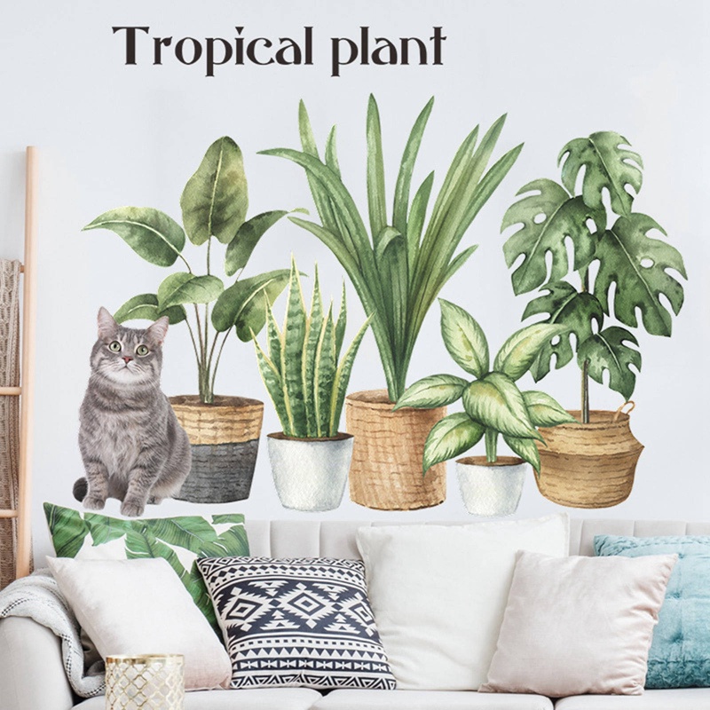 Sticker Dán Tường Họa Tiết Hình Chậu Cây Xương Rồng Khổ Lớn Để Trang Trí Phòng Khách