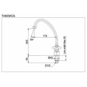 Vòi bếp lạnh Toto TX603KCS