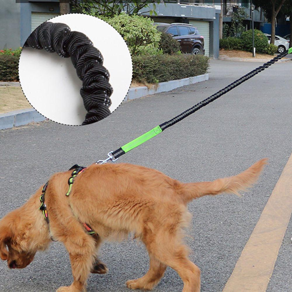 Dây Dắt Thú Cưng Đi Dạo Co Giãn Tùy Chỉnh Tiện Dụng