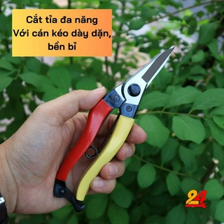Kéo mũi nhọn làm vườn Onotetsu 180mm [made in japan] (HÀNG CHỜ ĐẶT)