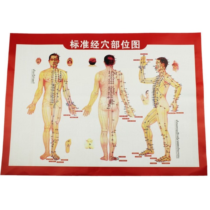 Tranh châm cứu {tranh huyệt vị châm cứu}