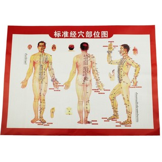 Tranh châm cứu {tranh huyệt vị châm cứu}