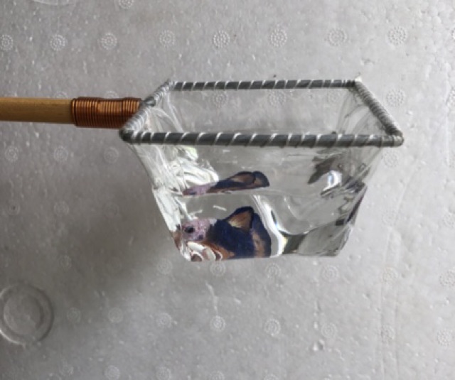 Vợt Nước Chống Shock và Show Cá - Hàng Công Ty