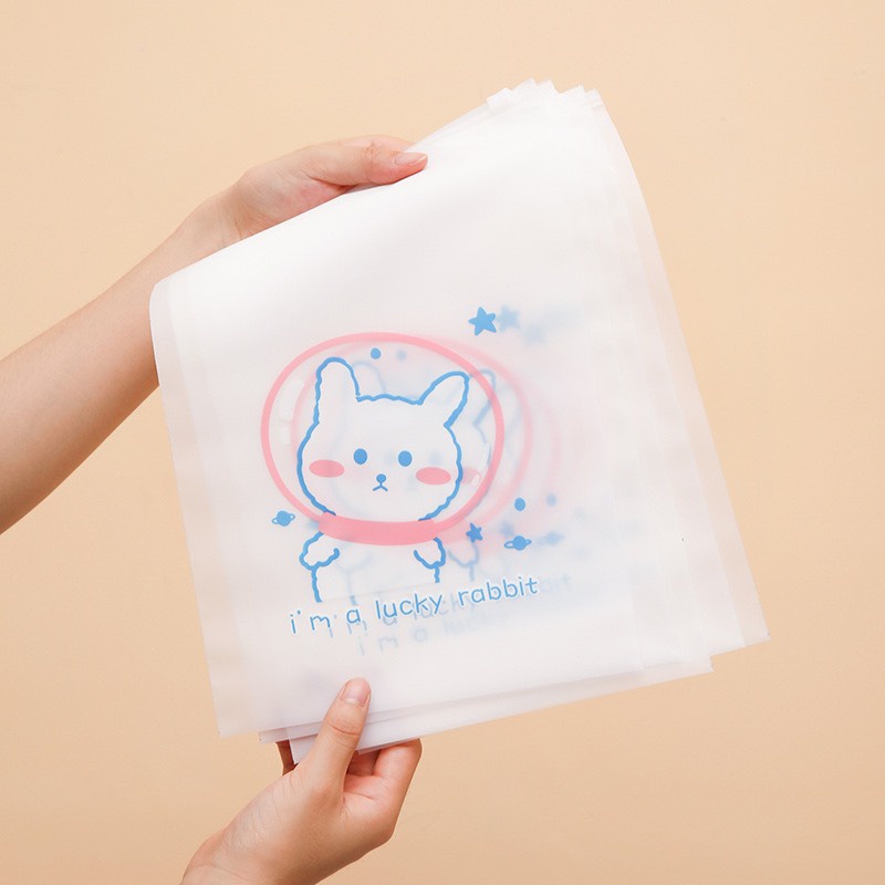 TÚI ZIP ĐỰNG QUẦN ÁO, ĐỒ SƠ SINH, DU LỊCH