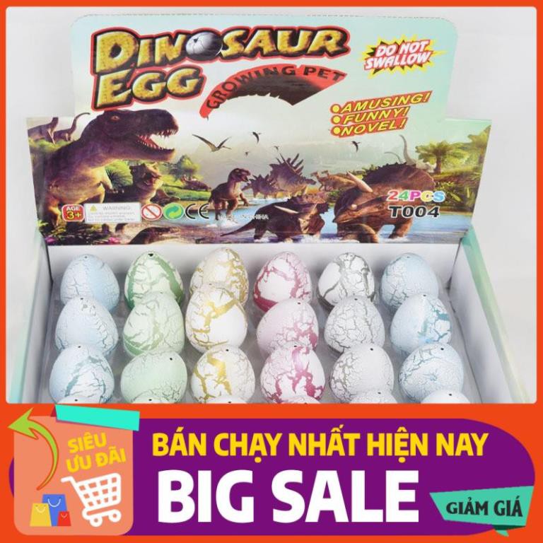 Sét 24 quả trứng khủng long- đồ chơi giải trí cho con- phân phối đại lí giá tốt nhất việt nam