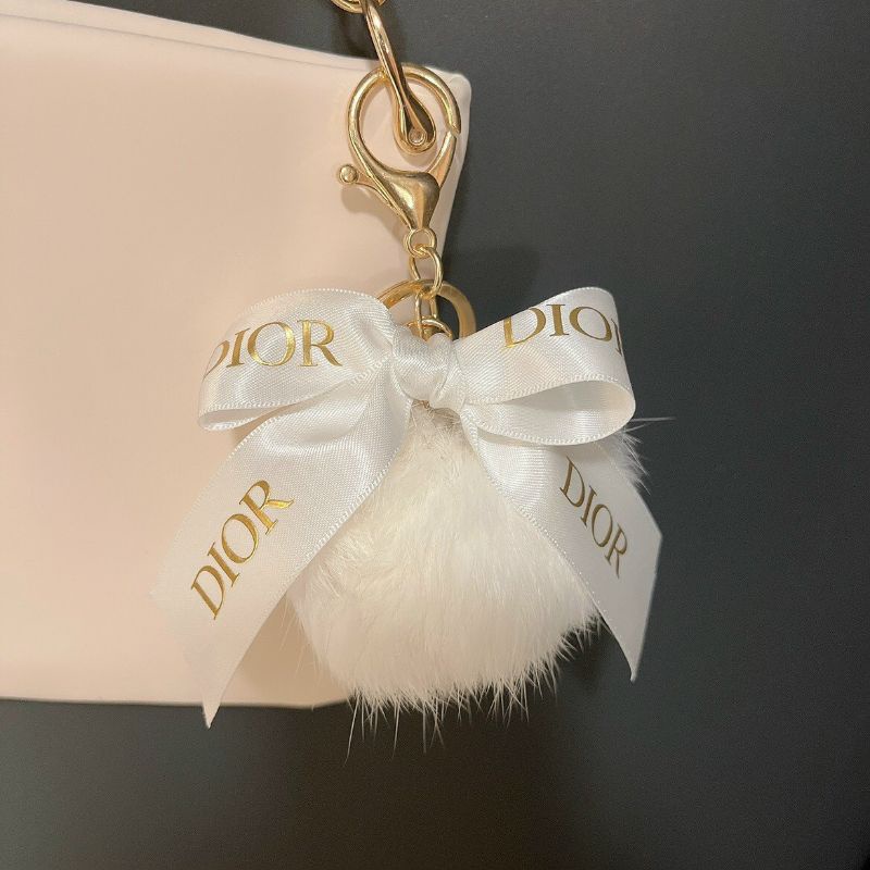 Túi Dior gift