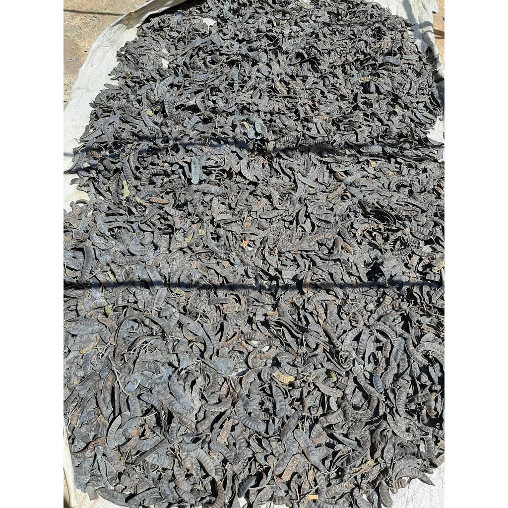 Dầu gội Bồ Kết thảo dược nhà nấu 100% tự nhiên đậm đặc | BigBuy360 - bigbuy360.vn