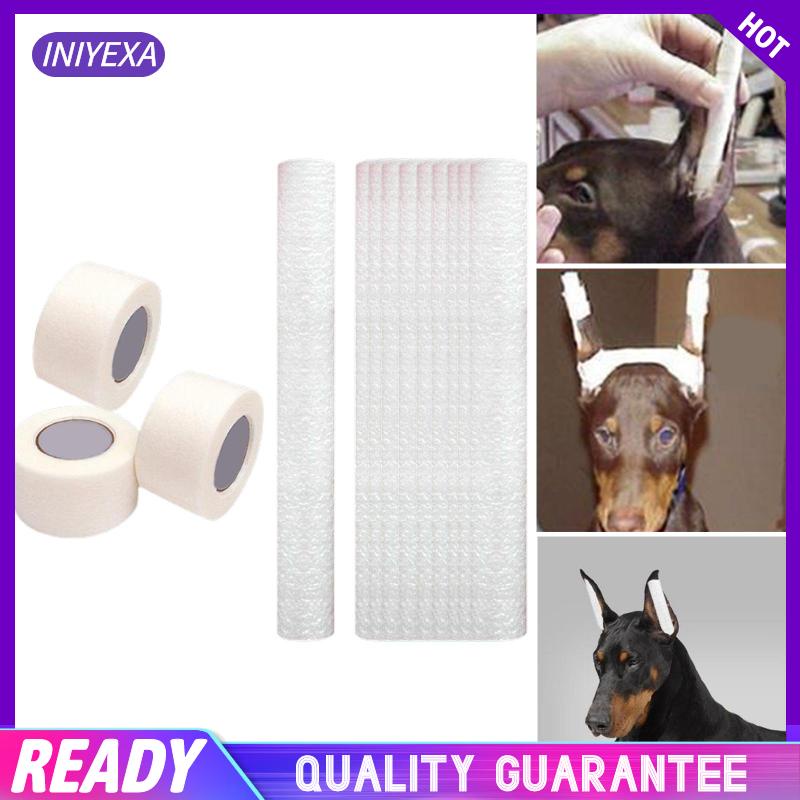 Giá Đỡ Tai Chó Chihuahua Cỡ Vừa Và Lớn Chăm Sóc Tai Cho Cún Cưng