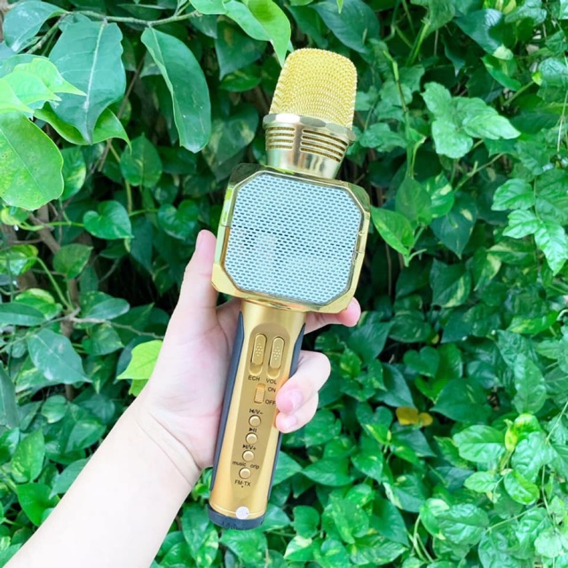 Mic hát SD10