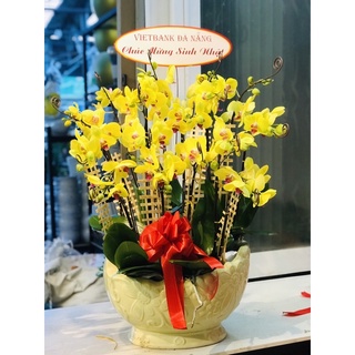 Cuộn dây kẽm vàng dùng để cố định