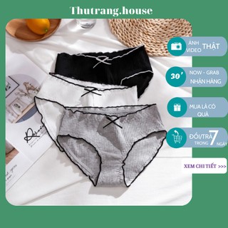 [Set 3 quần] Quần lót nữ cotton viền ren , quần chip M15 xì lọt khe su thun lạnh kháng khuẩn xuất Nhật quyến rũ sexy