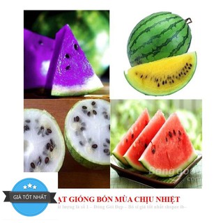 Hạt giống dưa hấu cầu vồng 10 HẠT
