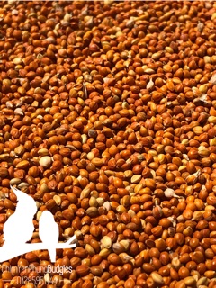 Kê đỏ & Lúa - thức ăn: Chim Cảnh, Gà.. (Combo 2kg)