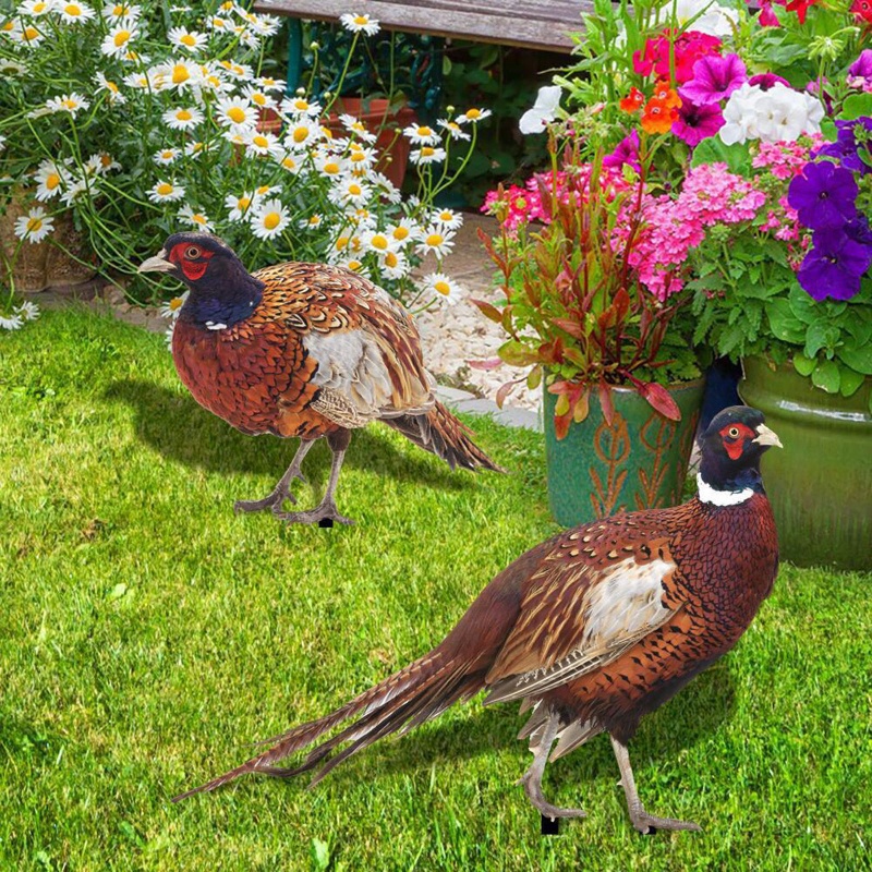 Mô Hình Tượng Động Vật Pheasants Dùng Trang Trí