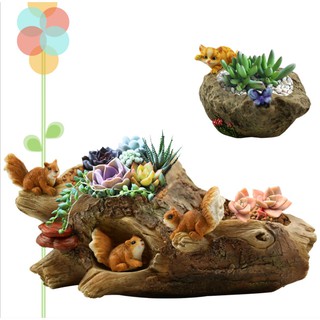 Mẫu chậu cảnh hình tổ sóc thích hợp trang trí tiểu cảnh, bonsai. DIY