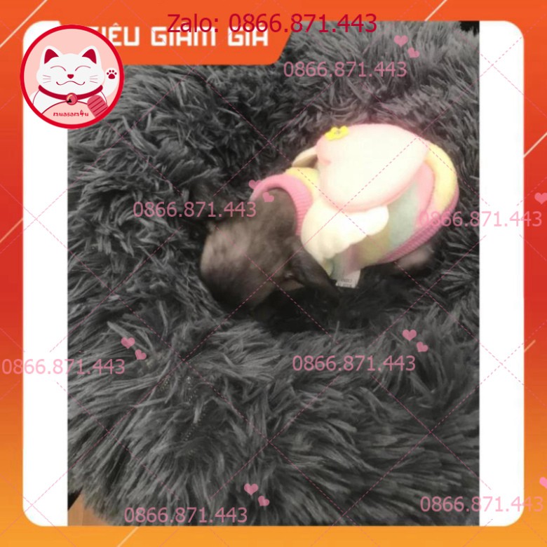 ⚡𝐅𝐑𝐄𝐄𝐒𝐇𝐈𝐏⚡  Nệm tròn bằng vải lông cho chó mèo - petshop số 01