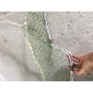 Lưới vét cá cao 2m dài 10m