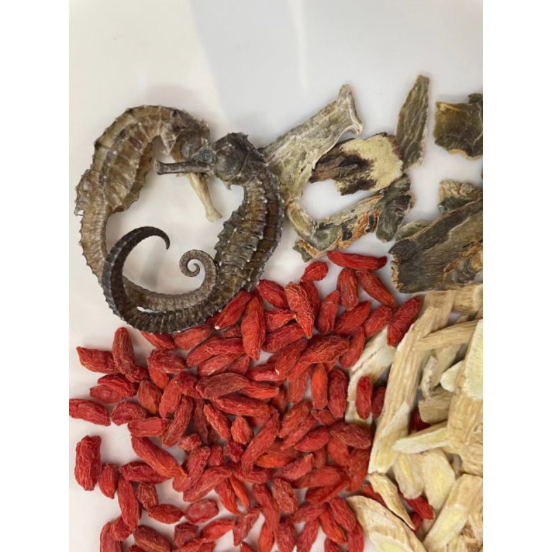 Set Canh Hải Mã Điền Thất ( tăng chiều cao ) | BigBuy360 - bigbuy360.vn