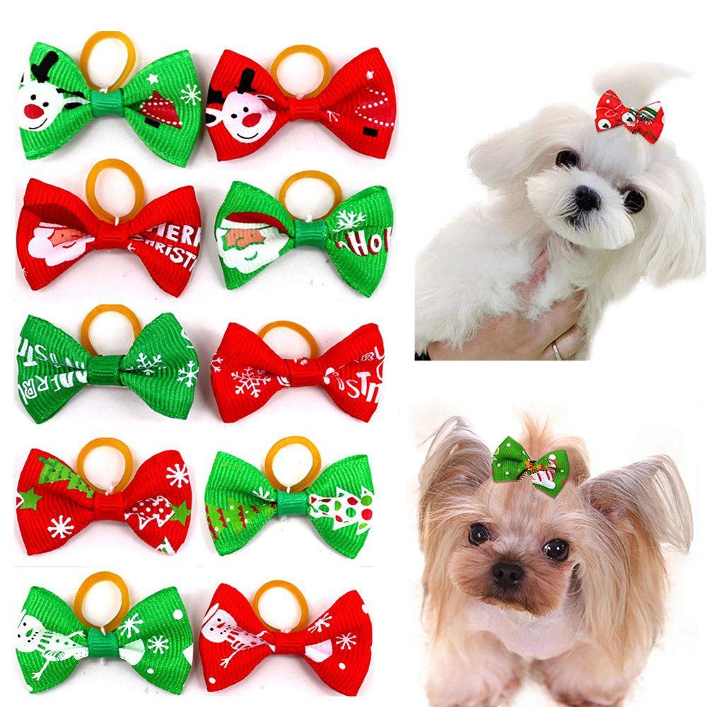 Set 10 Dây Buộc Tóc Cho Thú Cưng