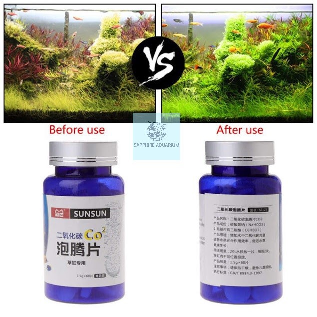 Viên CO2 cho bể cá