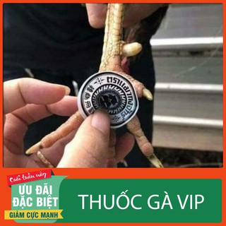 Miếng dán trị lậu đế ké chậu cho tất cả gà đá cho gà chọi 100% khỏi ngay có sẵn thuốc chỉ việc bốc ra dán