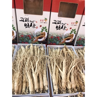 (BÁN LẺ GIÁ TỐT) 399k/ 3củ nhân sâm Hàn Quốc loại củ Đẹp. Sâm Ngâm Rượu, Mật đều được.