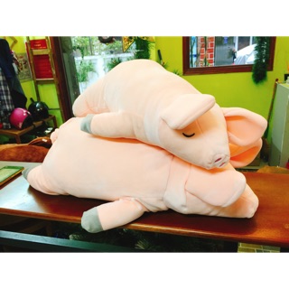 Heo bông 50cm - 1m2 ( ảnh thật)