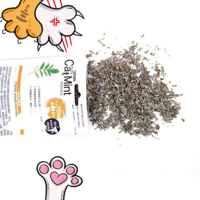 Cỏ Bạc Hà Mèo Catnip Hahale – Gói Catmint