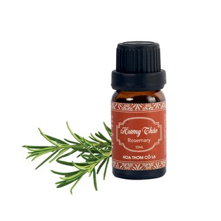Tinh Dầu Hương Thảo - Rosemary Essential Oil - Hoa Thơm Cỏ Lạ