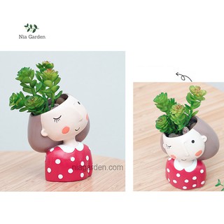 Chậu cô gái áo đỏ trồng cây sen đá, xương rồng