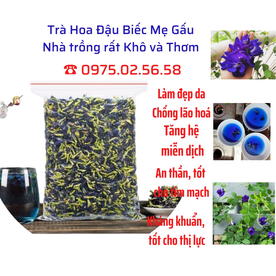 100gr TRÀ HOA ĐẬU BIẾC KHÔ (Nhà mình trồng hái vào sáng sớm nên hoa rất tươi và nhiều chất nhất)(MUA 1LG TẶNG THÊM HẠT)