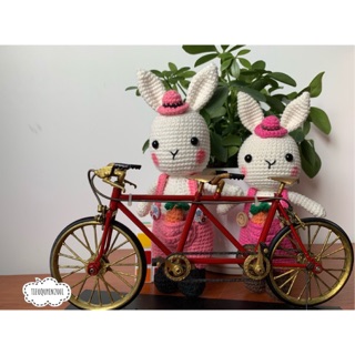 Thỏ yếm đựng cà rốt