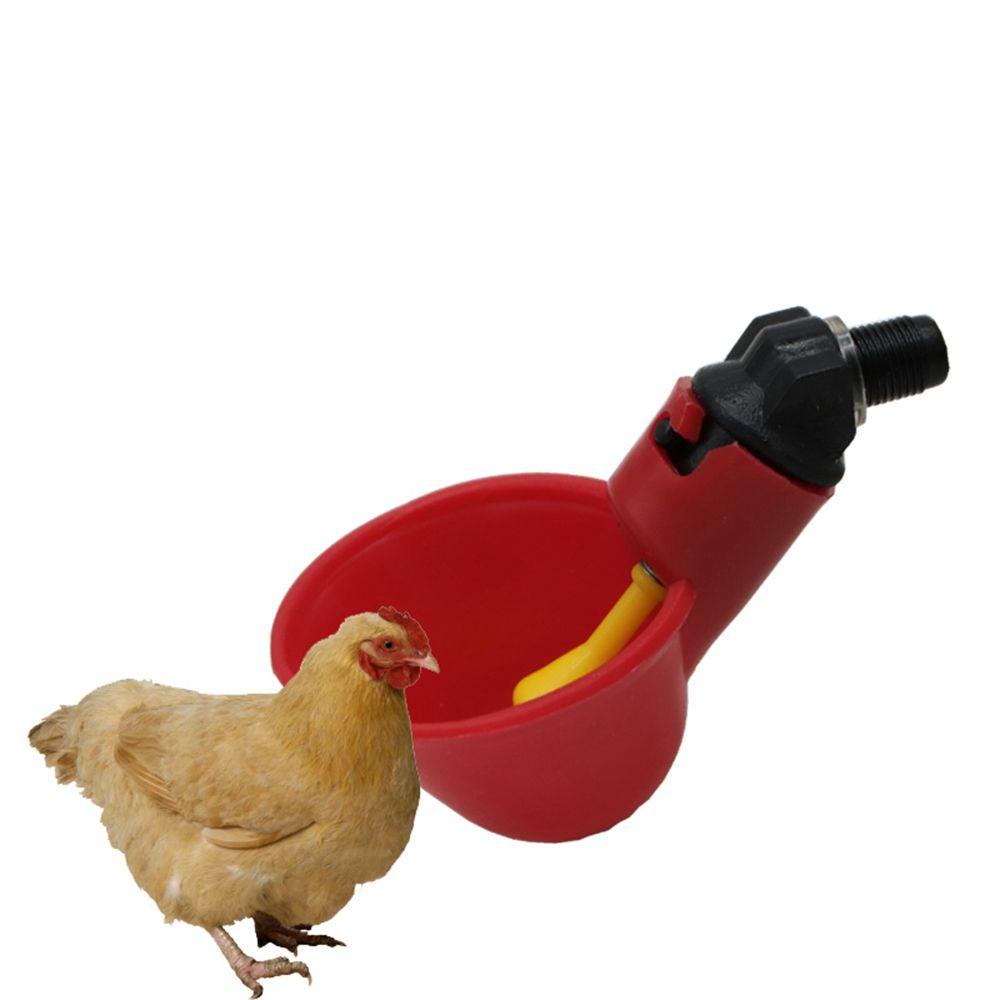 Bát Đựng Nước Uống Tiện Dụng Cho Chim Cảnh