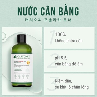 Combo chăm sóc da mụn Caryophy Portulaca (sữa rửa mặt 150ml toner 300ml serum 10ml)