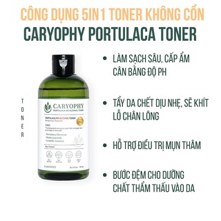 Nước Hoa Hồng Ngăn Ngừa Mụn Caryophy Portulaca Toner