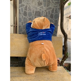 Gấu Sinilac kèm mền