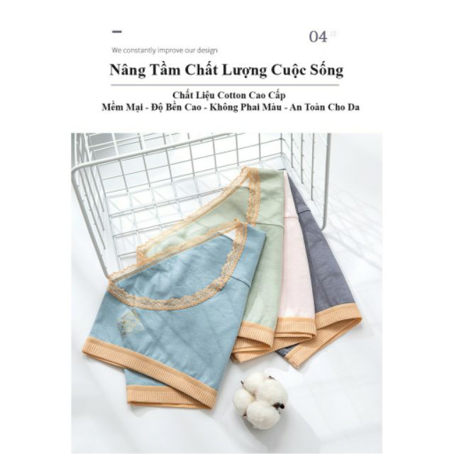 Quần Lót Cotton Royal Kháng Khuẩn mã Ct04