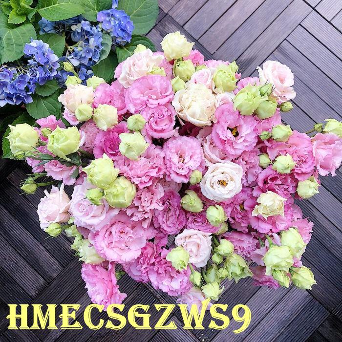 Hạt giống hoa cát tường Eustoma nhập khẩu 30h