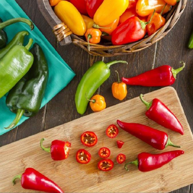 Hạt Giống Ớt Chịu Nhiệt Sai Trái Jalapeno 10 HẠT