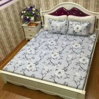 Ga gối cotton poly