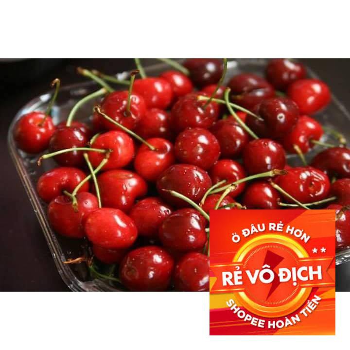 10 hạt giống quả cherry đỏ sai quả TRỢ GIÁ