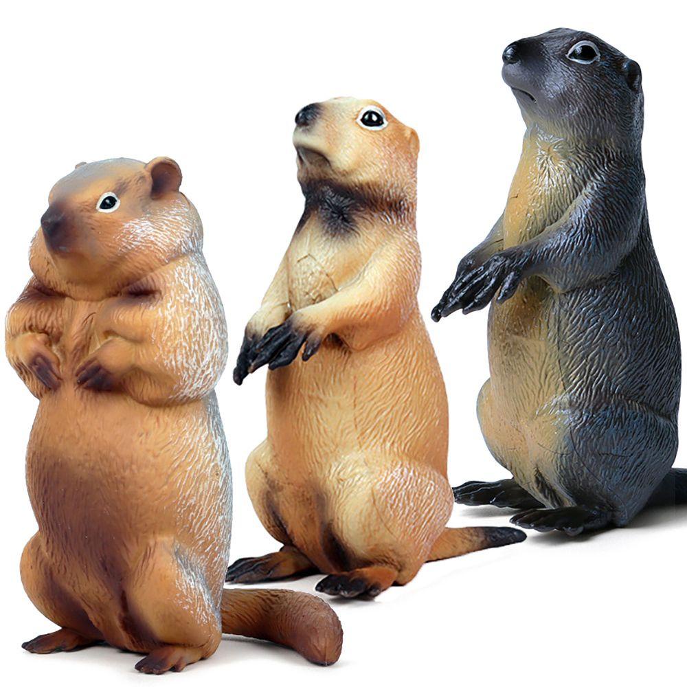 Mô Hình Marmot Sống Động Như Thật Cho Bé