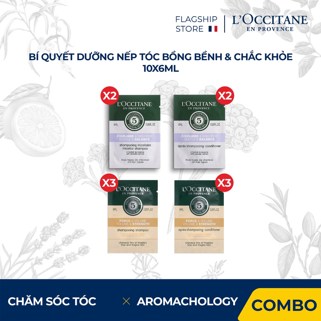 Bí quyết dưỡng nếp tóc bồng bềnh & chắc khỏe 10 x 6ml L'Occitane
