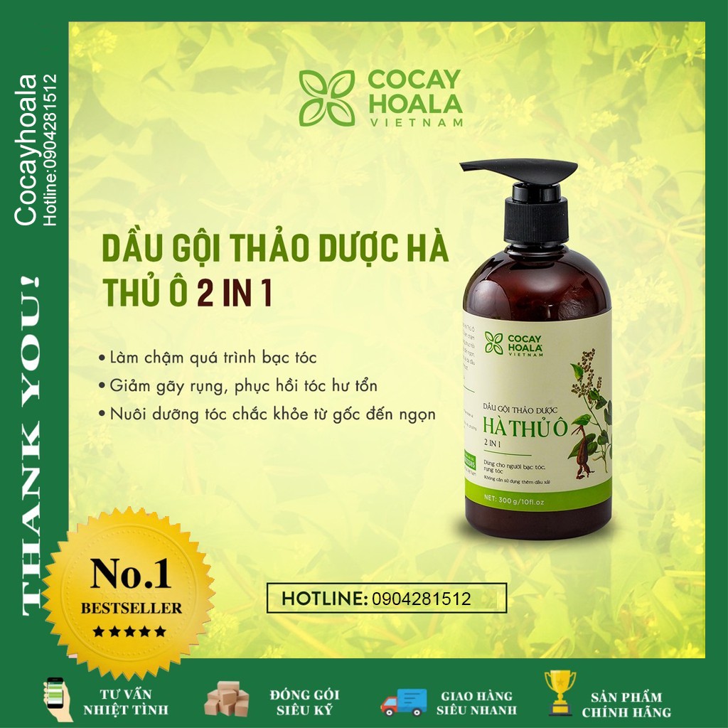 Dầu Gội Hà Thủ Ô 2in1 - Dầu Gội Ngăn rụng tóc, Giảm Rụng Tóc Bạc Tóc chống hói đầu Cocayhoala 300ml