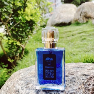 Meteoris Neptune - Nước hoa chế tác Con Mèo Đất