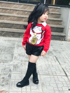 Combo sỉ áo mèo