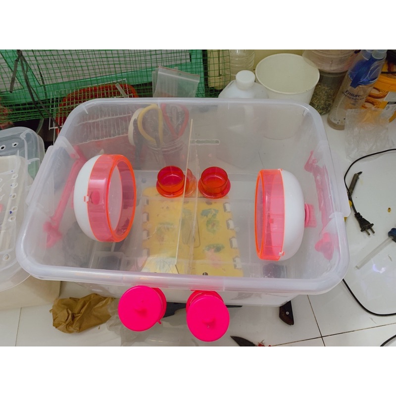 Lồng hamster thiết kế từ thùng