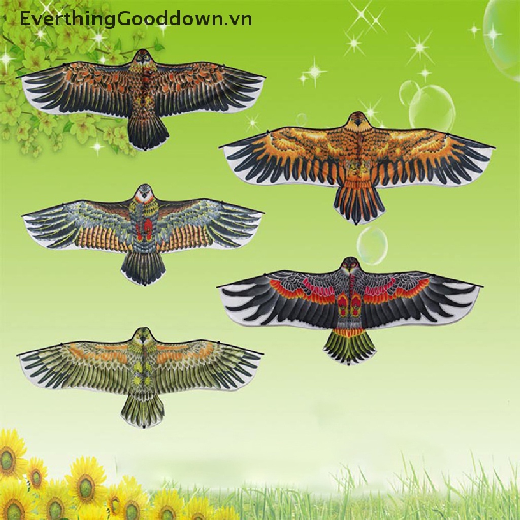 Diều Hình Chim Đại Bàng 1.1m Dây Dài 30M