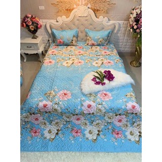 Trọn Bộ Chăn Ga Coton Poly 5 Món